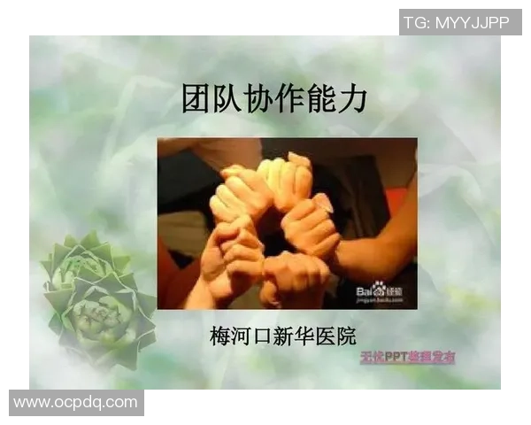 南京羽毛球队在世界锦标赛中的团队协作表现分析与点评