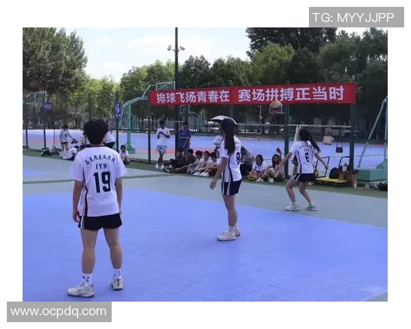 南京排球队的节奏与魅力探秘:一场关于青春与拼搏的排球盛宴 南京排球队的节奏与魅力探秘:一场关于青春与拼搏的排球盛宴