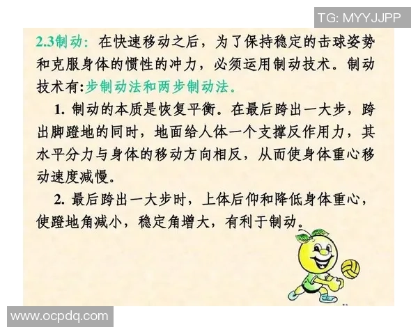 广州排球队在世界锦标赛中的战术表现分析与点评