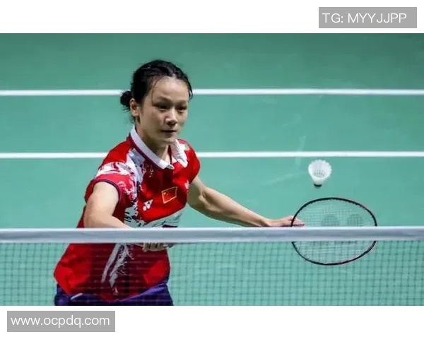 广州羽毛球队精英赛个人能力分析与表现评估