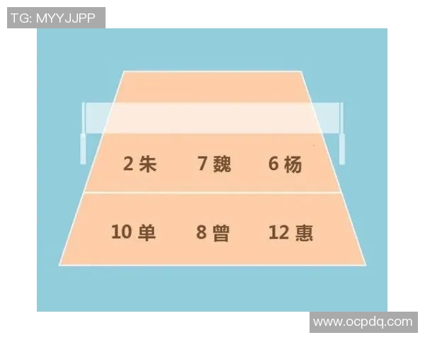 杭州排球队在城市联赛中的速度优势与战术分析