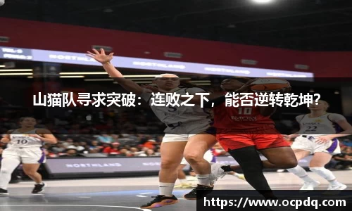 头号玩家龙8国际