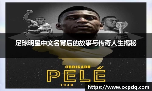 龙8玩家